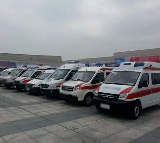 杜尔伯特服务车队展示