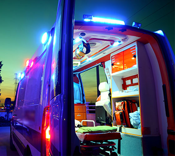 杜尔伯特车辆内部展示